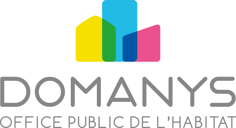 Domanys - Rapport d'activité 2017